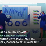 Pengertian, Pemilik, Prospek, Prediksi, Jumlah, Cara Beli dan Harga Saham CDIA