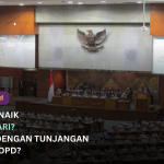 Gaji DPR Naik 3 Juta Per Hari, Benarkah? Rincian Lengkap dengan Tunjangan DPR, DPRD, dan DPD