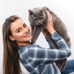 Cara Merawat Kucing agar Sehat, Bahagia, dan Panjang Umur