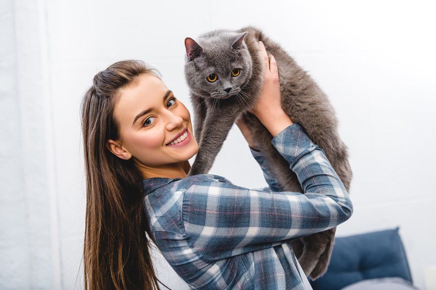 Cara Merawat Kucing agar Sehat, Bahagia, dan Panjang Umur
