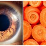 10 Makanan Sehat untuk Mata agar Penglihatan Tetap Tajam