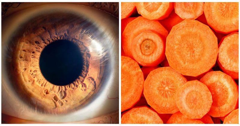 10 Makanan Sehat untuk Mata agar Penglihatan Tetap Tajam