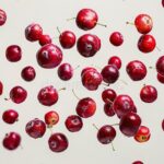 10 Manfaat Buah Cranberry untuk Kesehatan Wanita