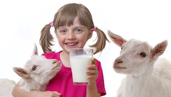 10 Manfaat Susu Kambing yang Bikin Badan Sehat & Glowing!