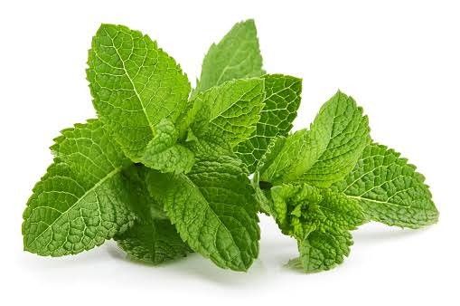 Manfaat Daun Mint Rahasia Segar untuk Tubuh dan Pikiran