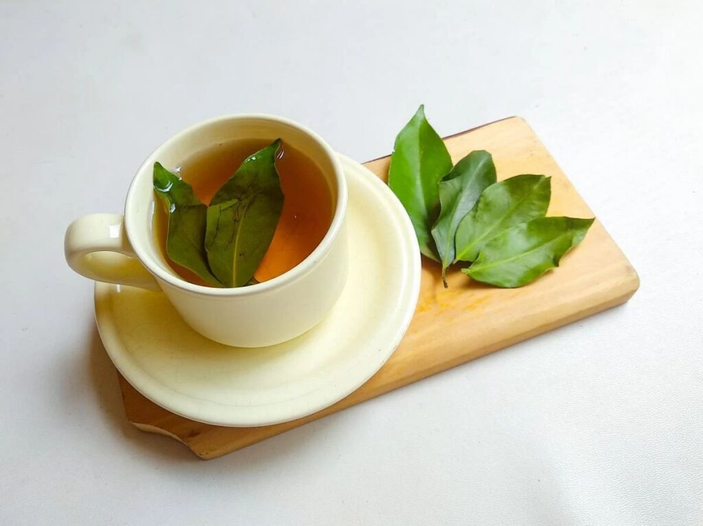 Manfaat Daun Salam untuk Kesehatan & Rahasia Alaminya