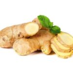 Manfaat Kencur untuk Kesehatan yang Jarang Diketahui