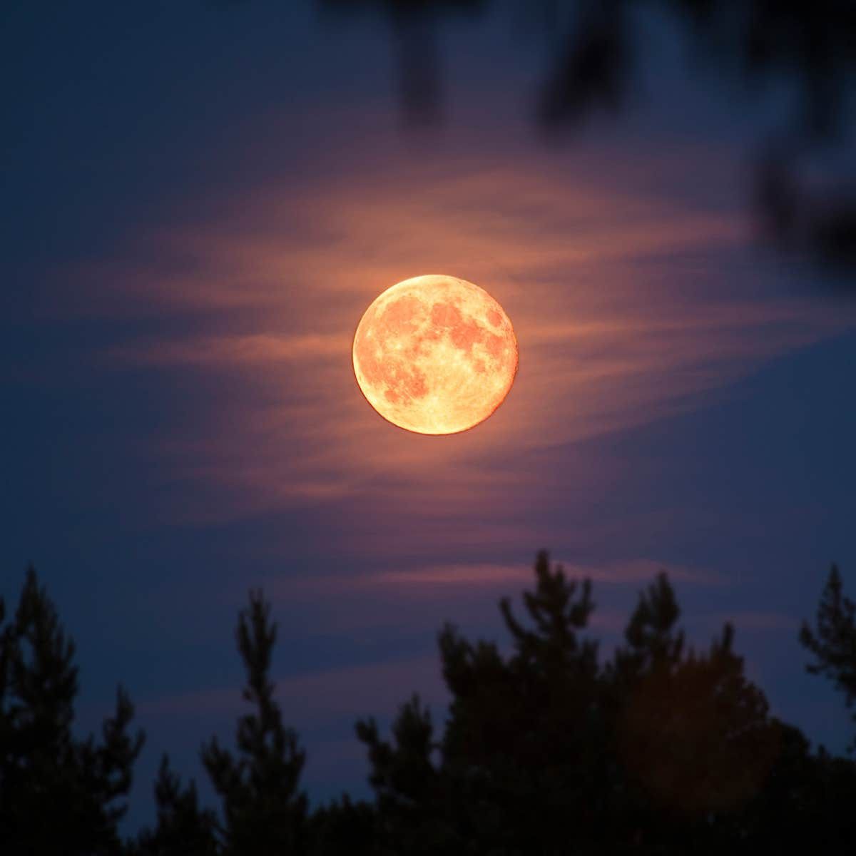 Fenomena Langit November 2025 yang Bikin Takjub