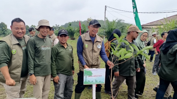 Hari Menanam Pohon Indonesia 2025 Sejarah, Makna, dan Cara Merayakannya dengan Kegiatan Nyata