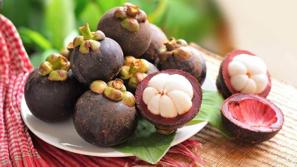 Manfaat Buah Manggis “Queen of Fruits” yang Kaya Khasiat!