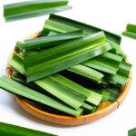 Manfaat Daun Pandan untuk Kesehatan dan Kecantikan