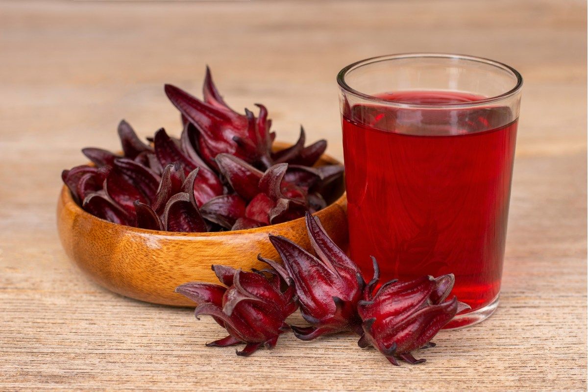 Manfaat Daun Rosella untuk Kesehatan dan Cara Konsumsinya