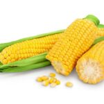 Manfaat Jagung Lengkap dan Ragam Olahannya yang Lezat