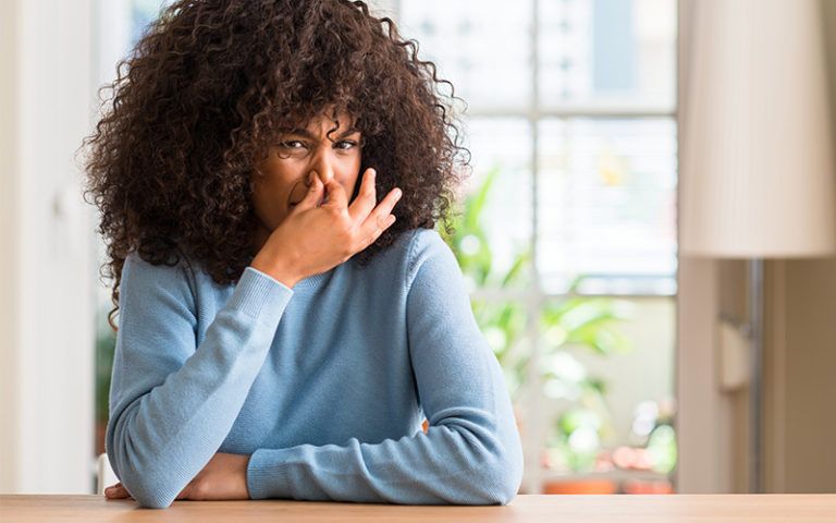 Cara Menghilangkan Bau Pesing Kucing di Rumah Efektif