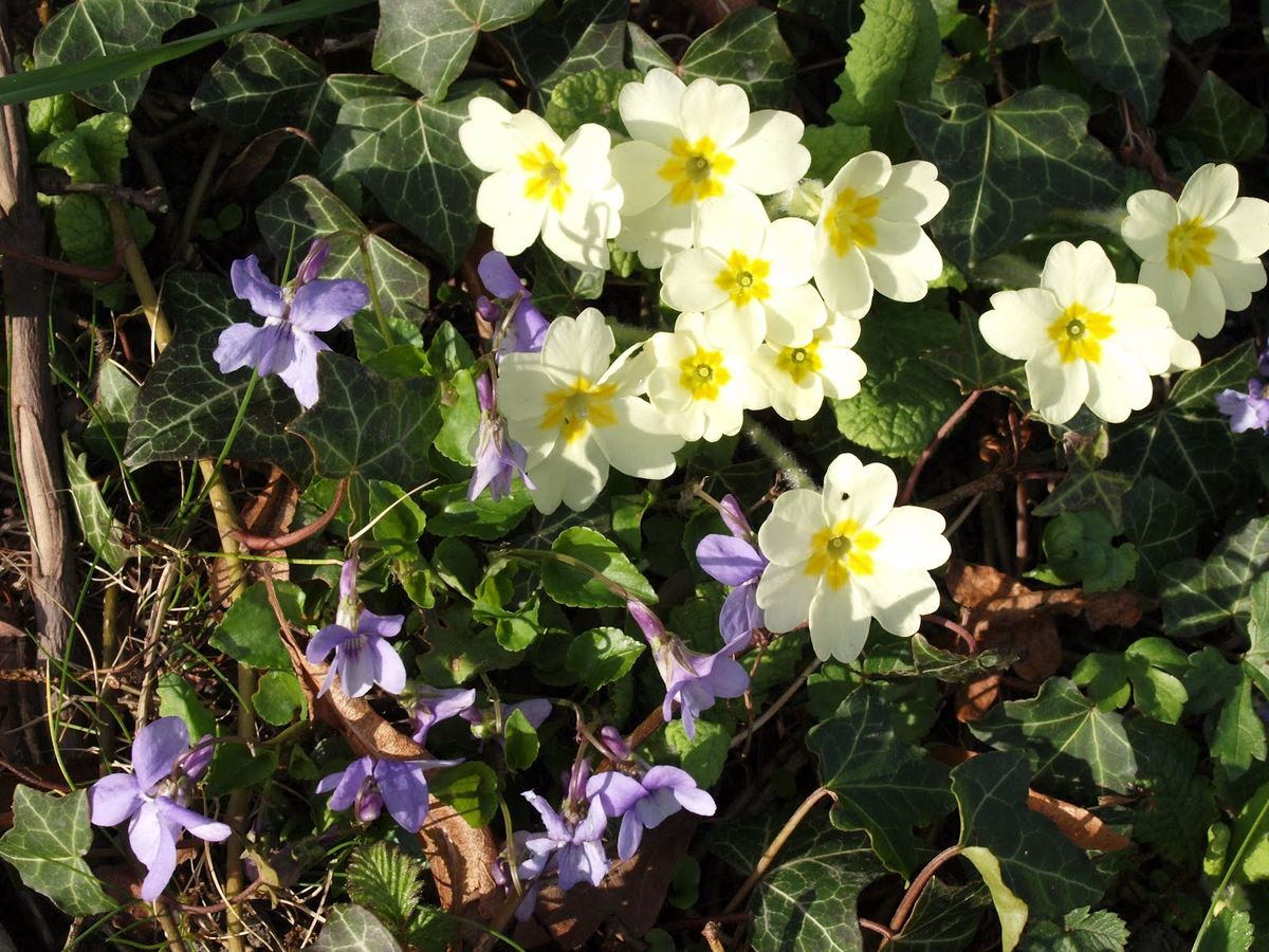 Fakta Unik Februari Sejarah dan Hal Menarik