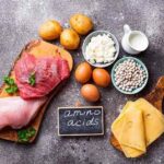 Makanan Mengandung Asam Amino dan Manfaatnya untuk Tubuh