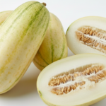 12 Manfaat Timun Suri untuk Kesehatan Tubuh