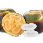 Manfaat Buah Lontar untuk Kesehatan