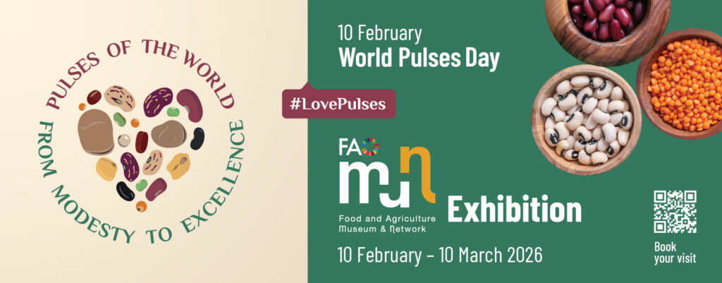 World Pulses Day 2026 Peringatan 10 Februari dan Manfaat Kacang-Kacangan bagi Kesehatan