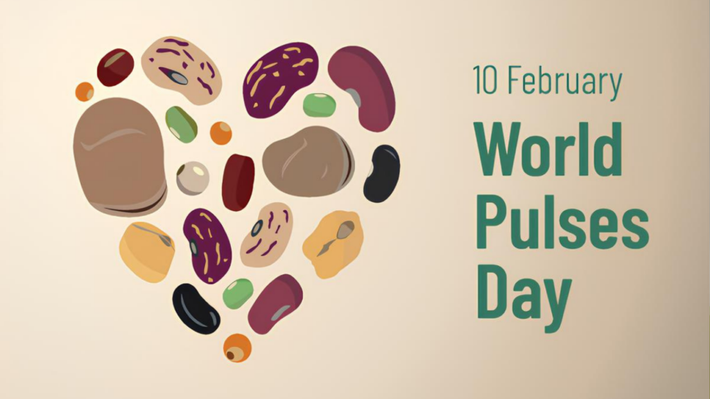 World Pulses Day 2026 Peringatan 10 Februari dan Manfaat Kacang-Kacangan bagi Kesehatan