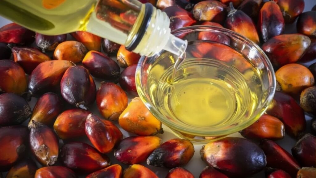 Harga Minyak Goreng Terbaru 2026, Naik atau Turun Ini Update dan Penyebabnya