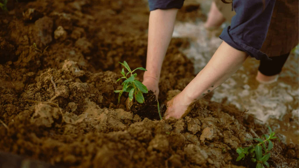 Hari Bumi 2026 Diperingati Hari Ini, Ini Tema, Makna, dan Aksi Nyata yang Bisa Dilakukan