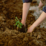Hari Bumi 2026 Diperingati Hari Ini, Ini Tema, Makna, dan Aksi Nyata yang Bisa Dilakukan