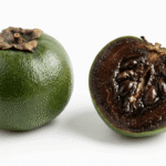 Manfaat Buah Black Sapote untuk Kesehatan