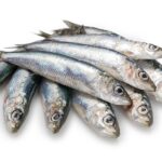 Manfaat Ikan Sarden untuk Kesehatan Tubuh