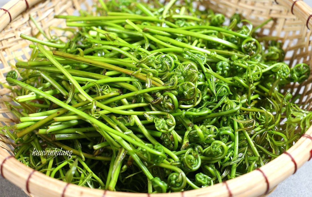 Manfaat Sayur Pakis untuk Kesehatan Tubuh