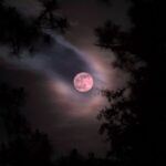 Fenomena Strawberry Moon 2026, Kapan dan Cara Melihatnya