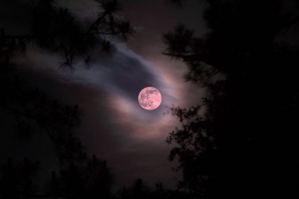 Fenomena Strawberry Moon 2026, Kapan dan Cara Melihatnya