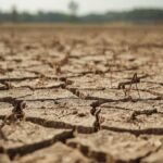 Musim Kemarau 2026 Capai Puncak pada Agustus, Waspadai El Nino!