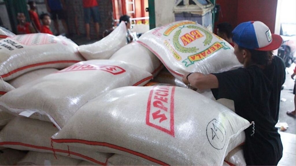 Bantuan Beras 10 Kg 2026, Mengapa Data Penerima Bisa Berubah Ini Penjelasannya