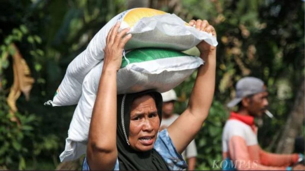 Bantuan Beras 10 Kg 2026, Mengapa Data Penerima Bisa Berubah Ini Penjelasannya