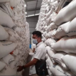 Bantuan Beras 10 Kg 2026, Mengapa Data Penerima Bisa Berubah Ini Penjelasannya
